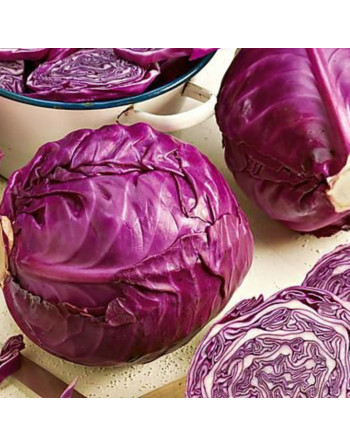 Chou rouge (la pièce)