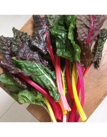 Blettes multicolores (500g)