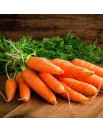 Carottes botte (500g)