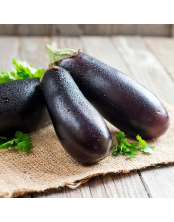 Aubergines (kg)