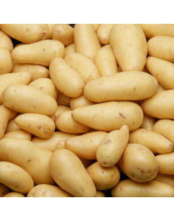 Pomme de Terre (kg)