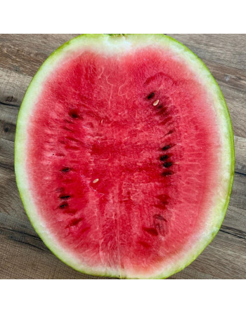 Pastèque (la demi)