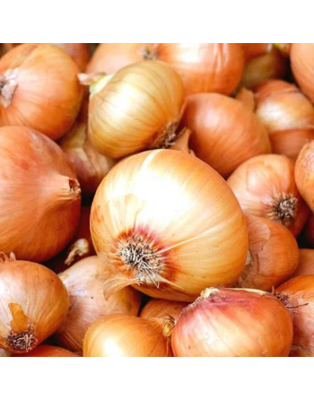 Oignons jaunes (le kg)
