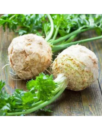 Céleri rave (pièce)