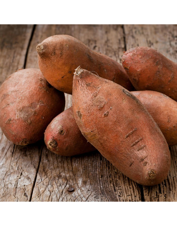 Patate douce (kg)